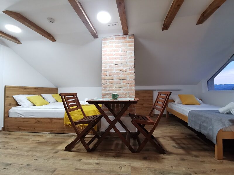 Smeštaj u sokobanji - Vila Breza - Eco Studio - 2