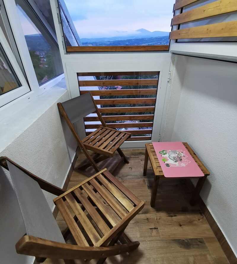 Smeštaj u sokobanji - Vila Breza - Eco Studio - 3