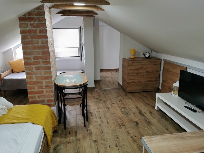 Smeštaj u sokobanji - Vila Breza - Eco Studio - 7