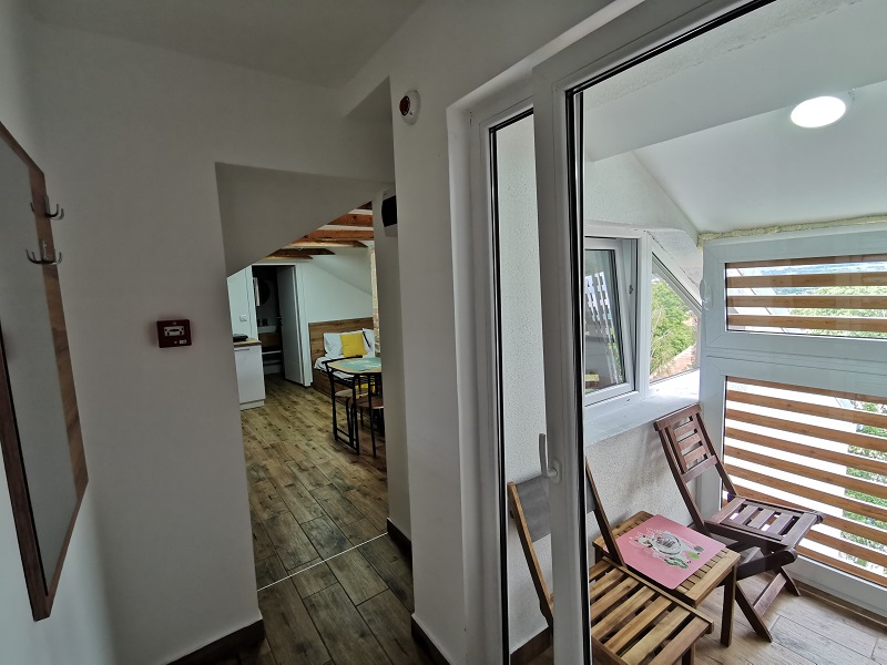 Smeštaj u sokobanji - Vila Breza - Eco Studio - 9