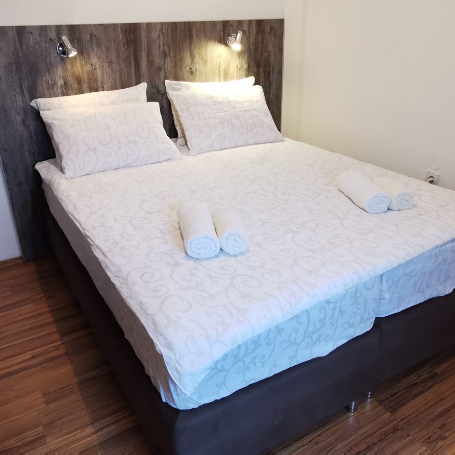 Studio za dve osobe Vila Banjica Smeštaj u Sokobanji