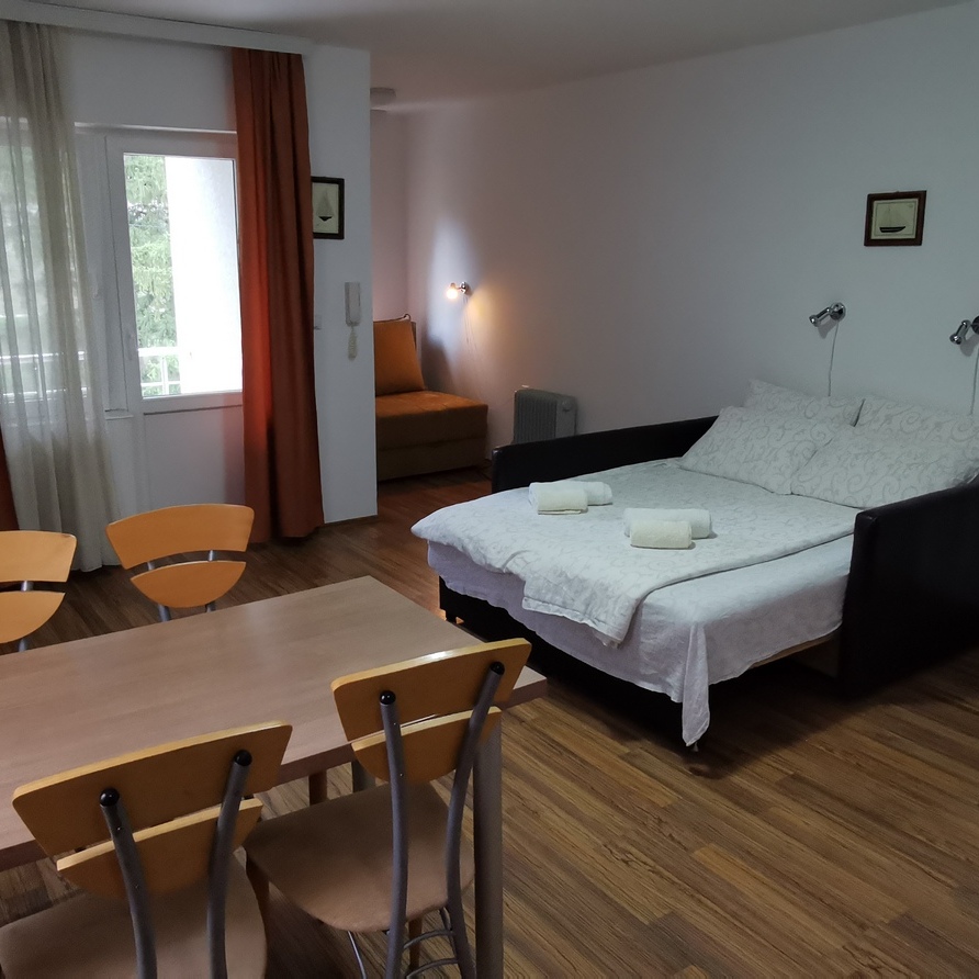 Apartman za pet osoba u vili Banjica