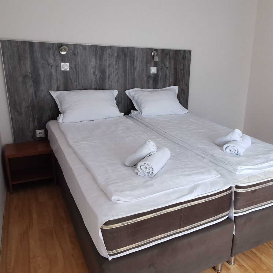 Studio za dve osobe Vila Milsa Lux Smeštaj u Sokobanji